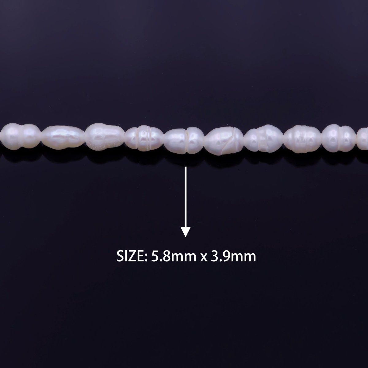 AAA Natural Freshwater Pearl 5.8mm x 4mm Beads 61 Pieces per Strand | WA-1331 Clearance Pricing