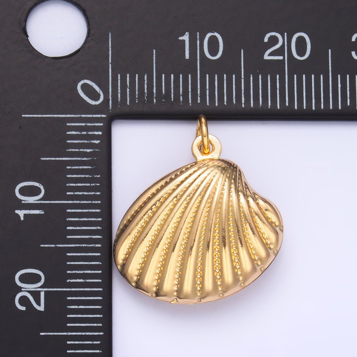 14K Gold Filled 20mm Dotted Lined Clam Sea Shell Charm | AG618