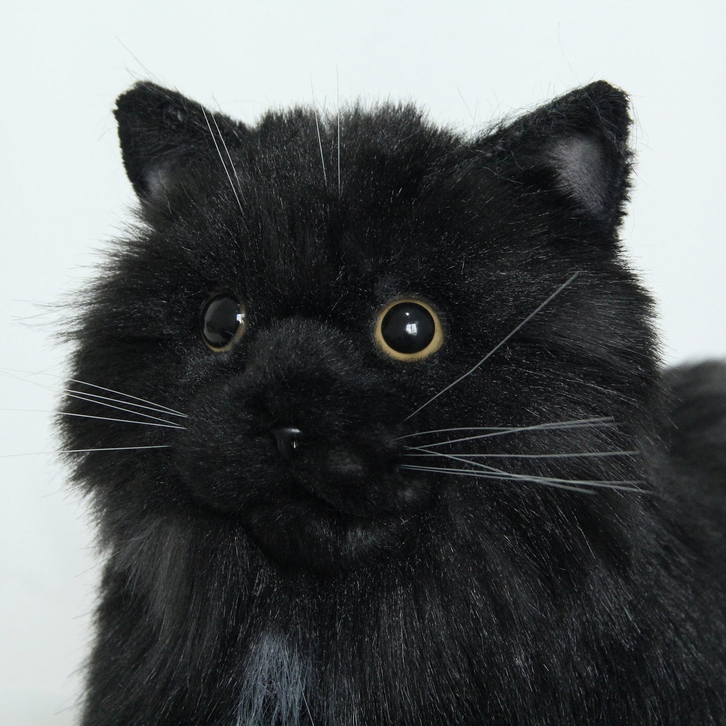 Fully Black Cat Longhair-Handmade Life-Size Companion & Pet Memorial