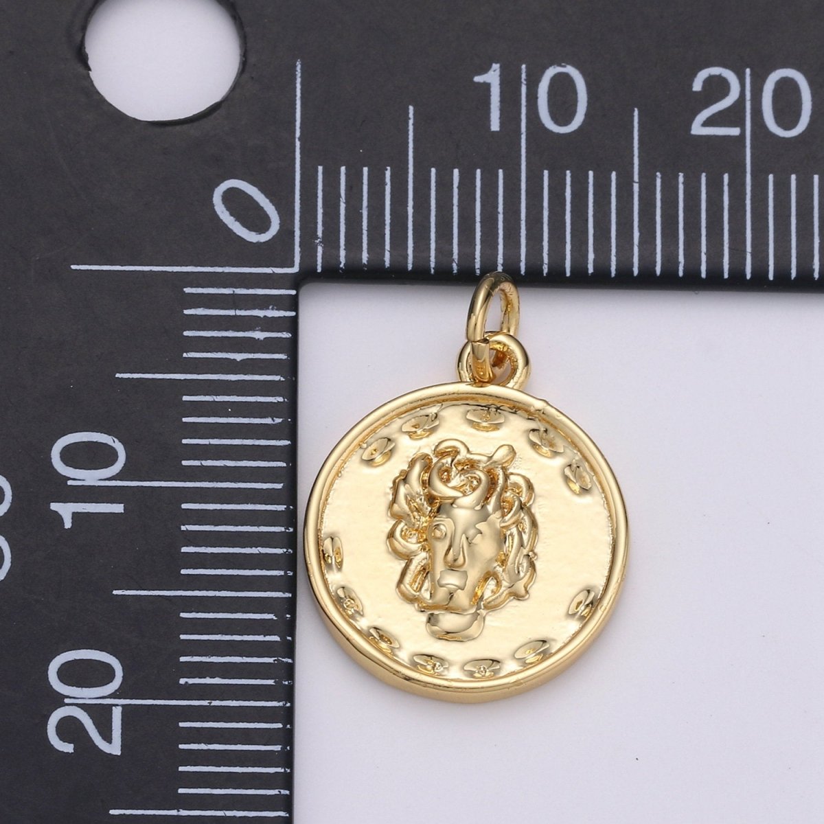 14K Gold Filled Medusa charms, 20x15mm Gold Pendant, coin charms, Gold charms, medallion charms, disc charm, Greek Charm D-539