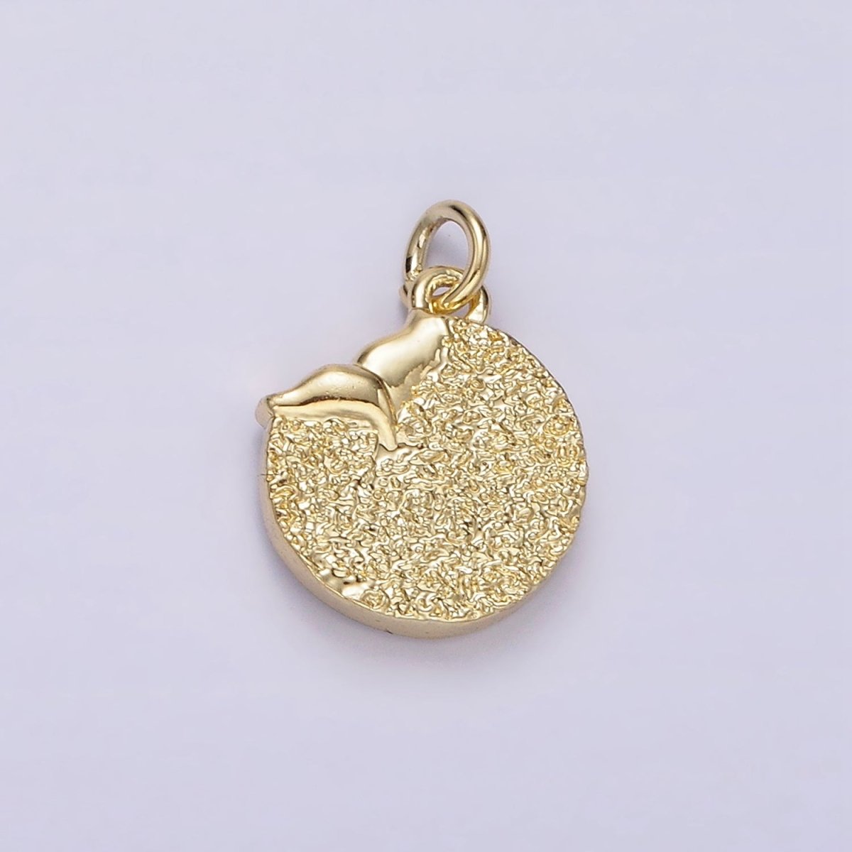 14K Gold Filled Night Star Mermaid Ocean Animal Tail Hammered Round Charm | AC904