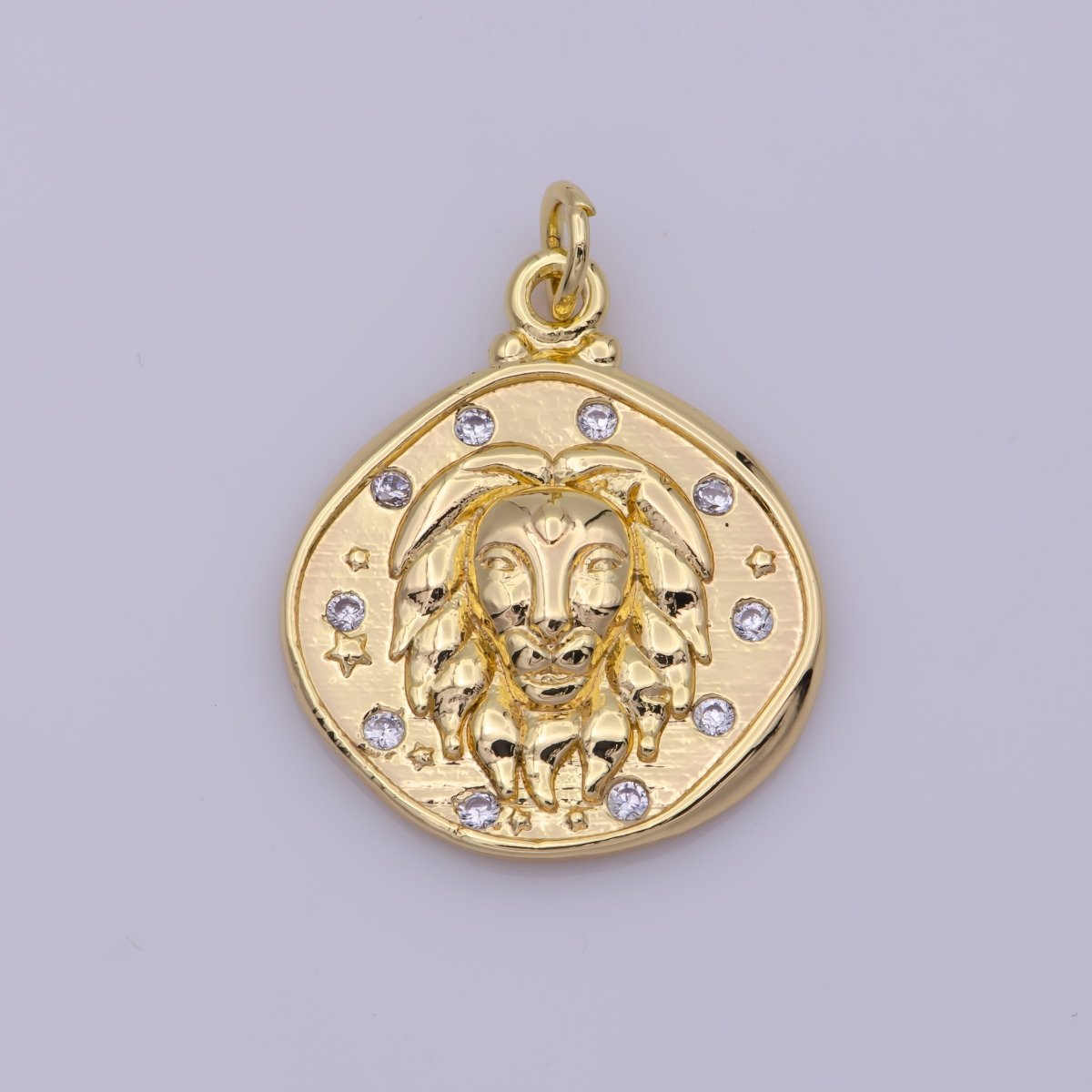 Dainty Lion Charm Leo Sign Coin Charm in 18K Gold Filled N-203