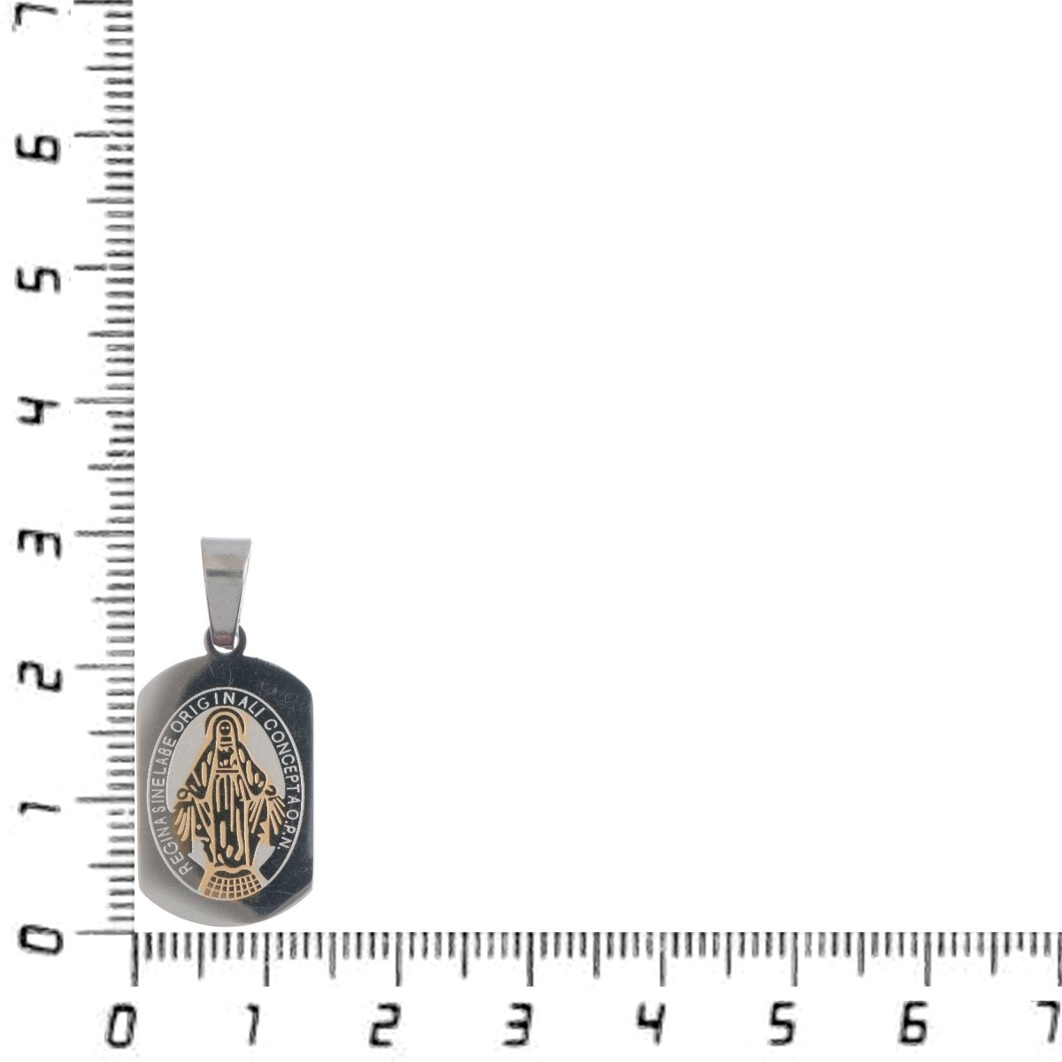 Dainty Stainless Steel Regina Sine Latin Roman Catholic Miraculous Lady Medal Charm Pendant J-469