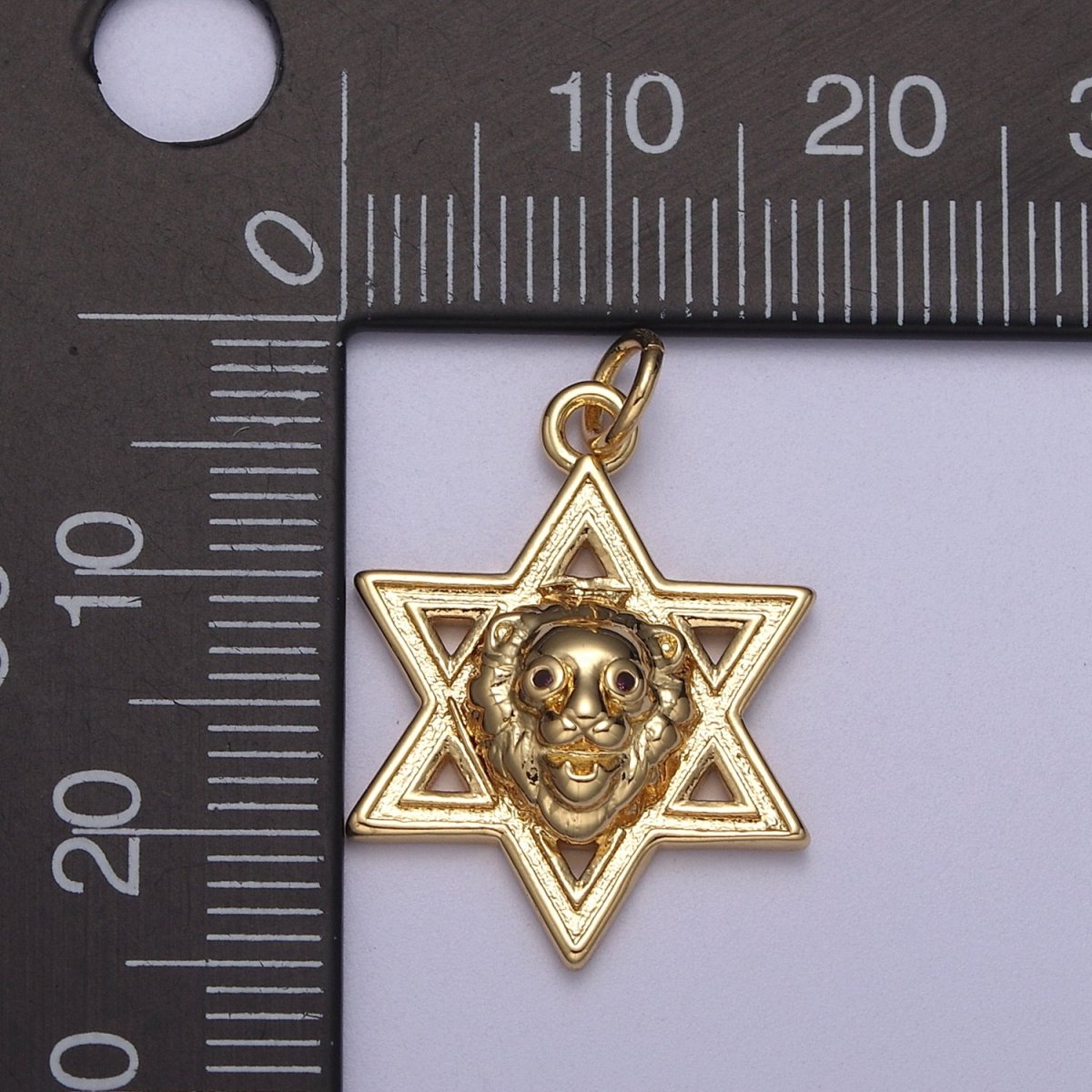 Gold Star of David Lion of Judah Pendant, Solid Magen David Jewish Star Jewelry  N-340