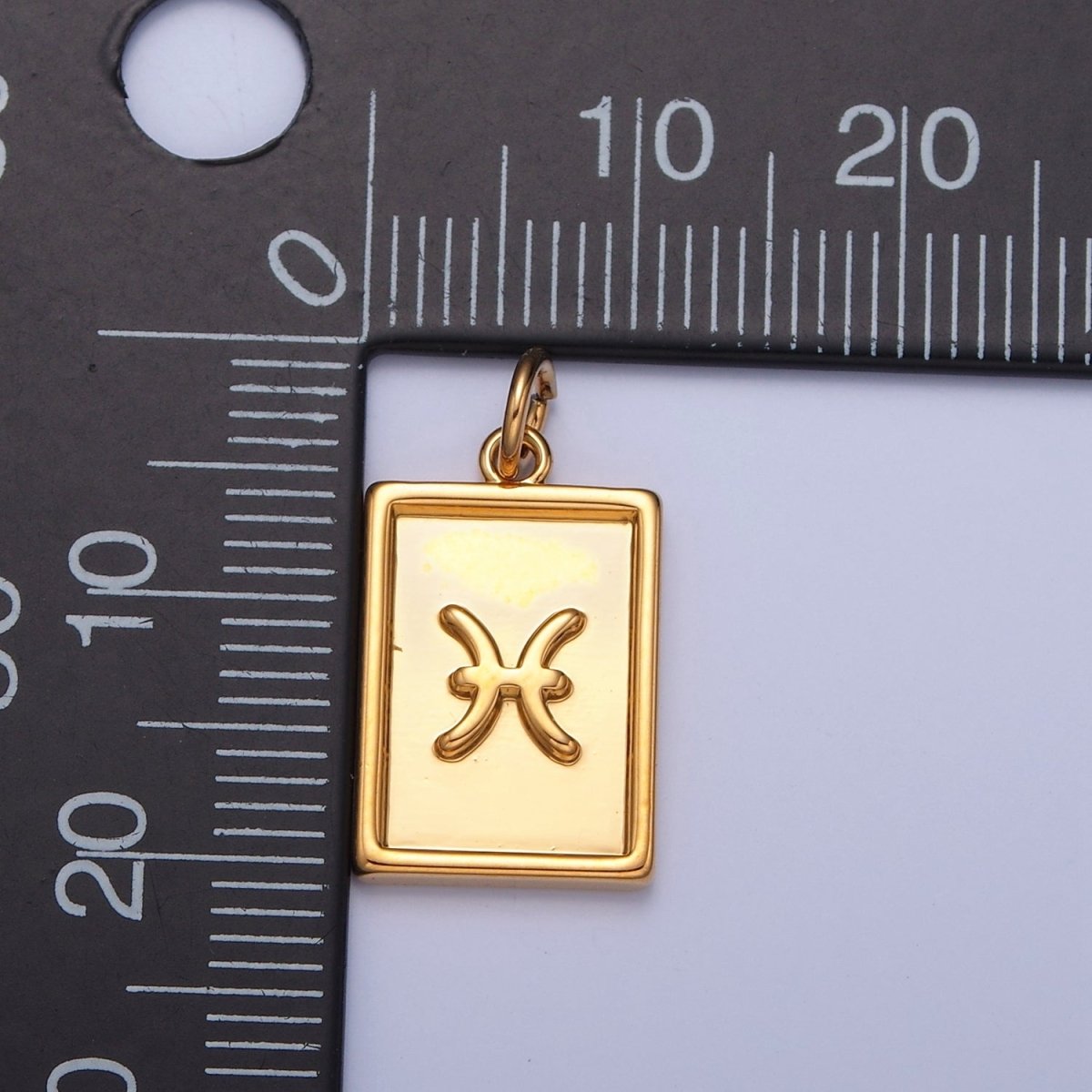 Mini 24k Gold Filled Tag Zodiac Charm Dainty Tile Astrological Zodiac Signs Add on Charm A-A1427-A-A1432