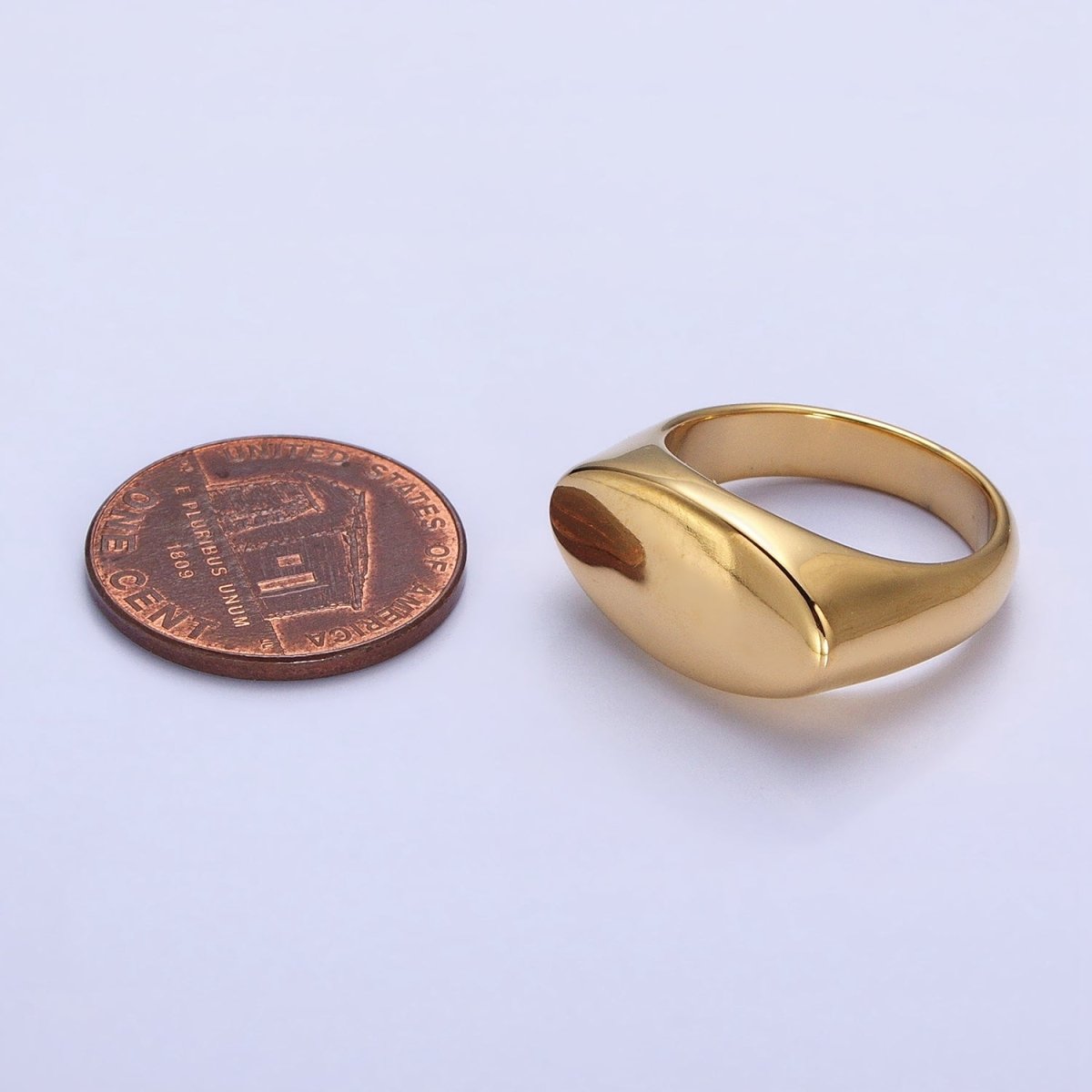 Stainless Steel Oval Chubby Personalized Signet Ring in Gold & Silver | O-1665~O-1672